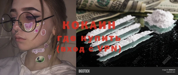 твердый Дмитров