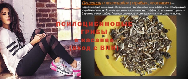 мескалин Дмитриев
