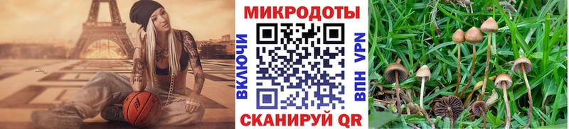 Псилоцибиновые грибы MAGIC MUSHROOMS  Купить где  Лукоянов 