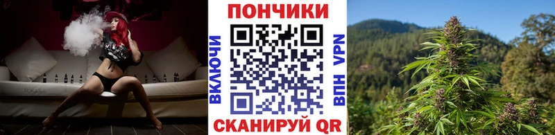 Купить закладки  Лукоянов  Бошки Шишки OG Kush 
